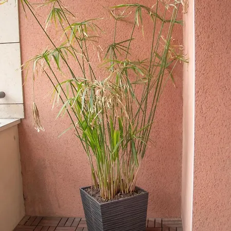Spacious Near Canal And Stadium With Wifi Apartment Reims