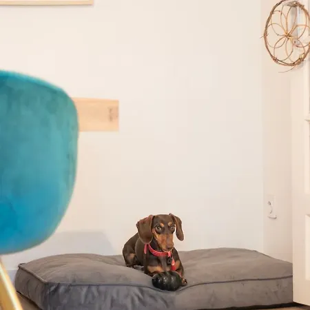 Spacious Near Canal And Stadium With Wifi Apartment